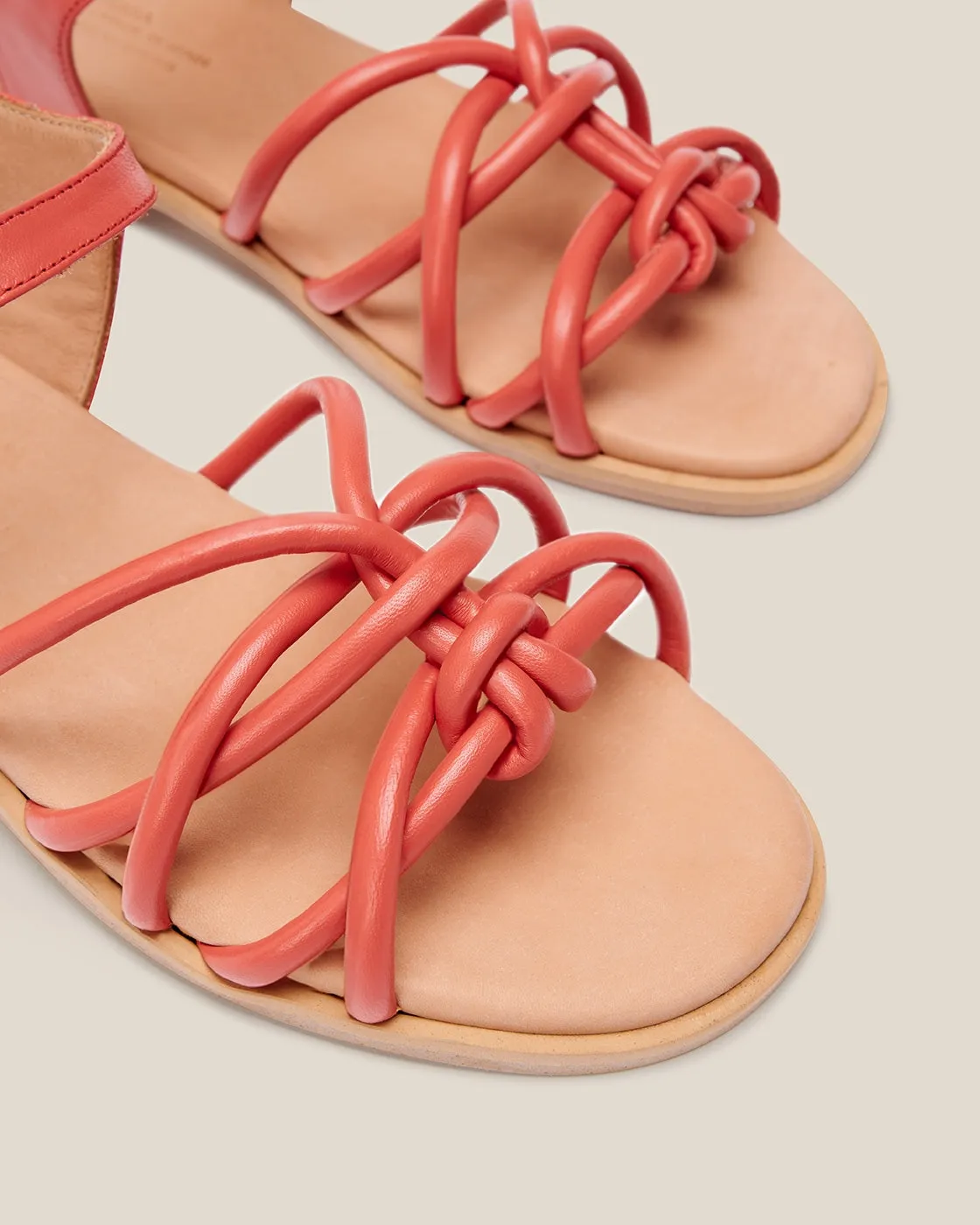 Archivo Lou Rojo sold by NAGUISA product image thumbnail 5