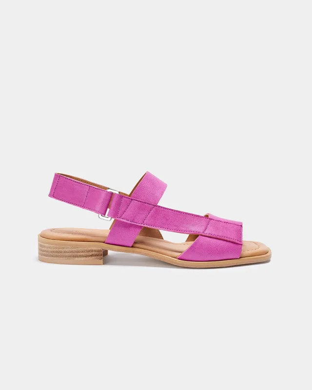 Archivo Gobio Fucsia sold by NAGUISA