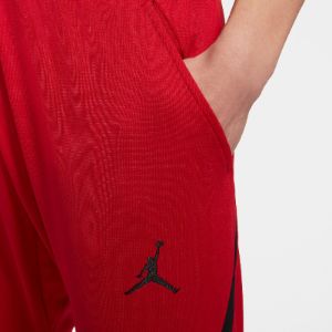 Air Jordan Dry 23 Alpha Training Pants 'Red' 889711-687 sold by KicksCrew