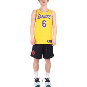 Nike x NBA LA Lakers Jerseys 'LeBron James 6' CW3669-738 sold by KicksCrew