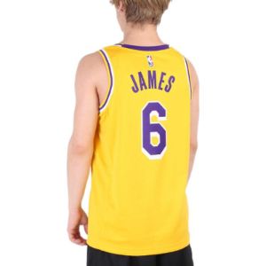 Nike x NBA LA Lakers Jerseys 'LeBron James 6' CW3669-738 sold by KicksCrew