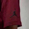 Air Jordan Brand Holiday T-Shirt 'Cherrywood' DV1433-680 sold by KicksCrew