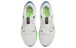Nike Air Zoom Pegasus 40 'Platinum Tint Green Strike' DV3853-006 sold by KicksCrew