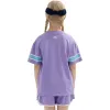 (GS) Mizuno Casual Sportswear T-shirt Suit 'Purple' 32CA2469 sold by KicksCrew