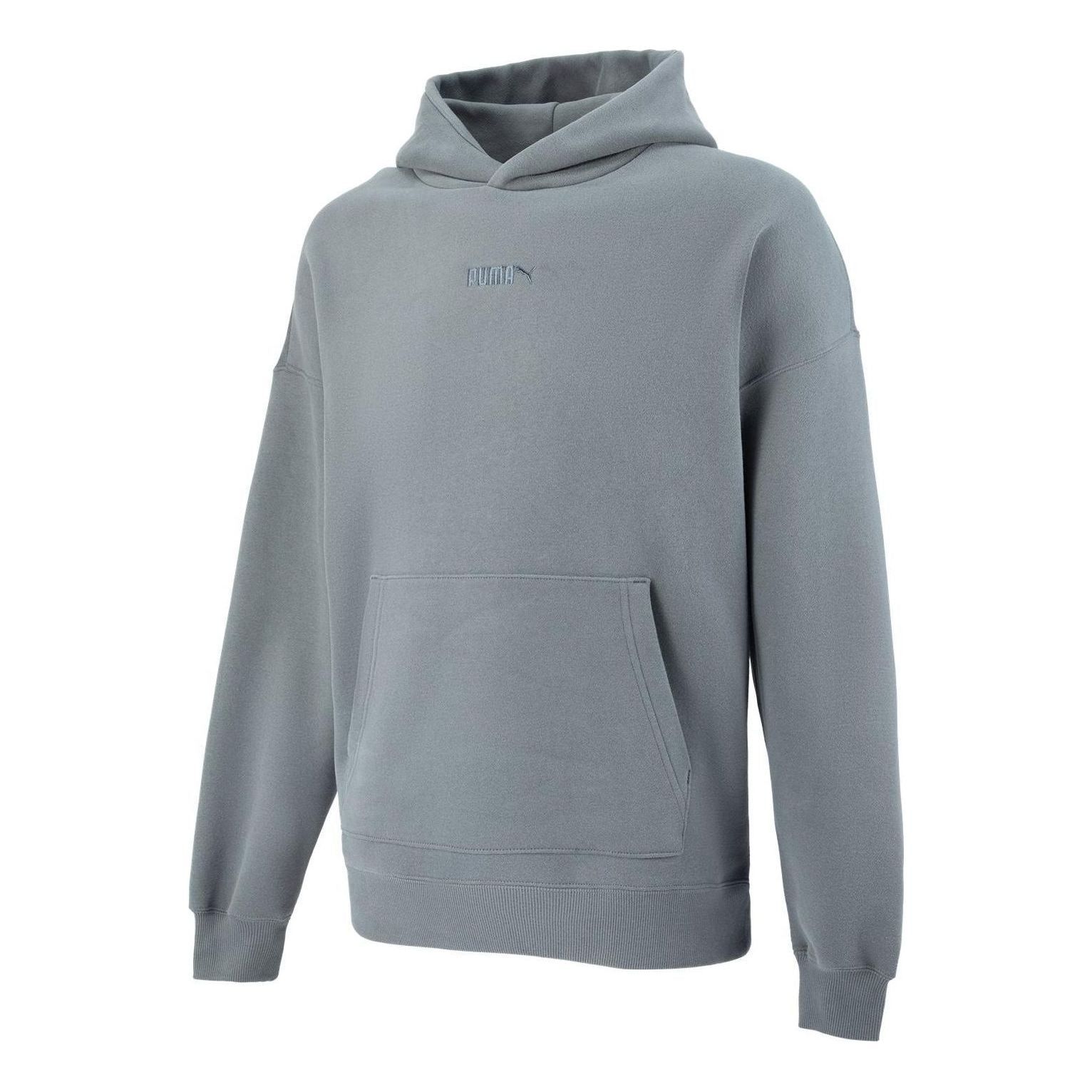 Puma Small Logo Hoodie 'Grey' 534364-44 sold by KicksCrew