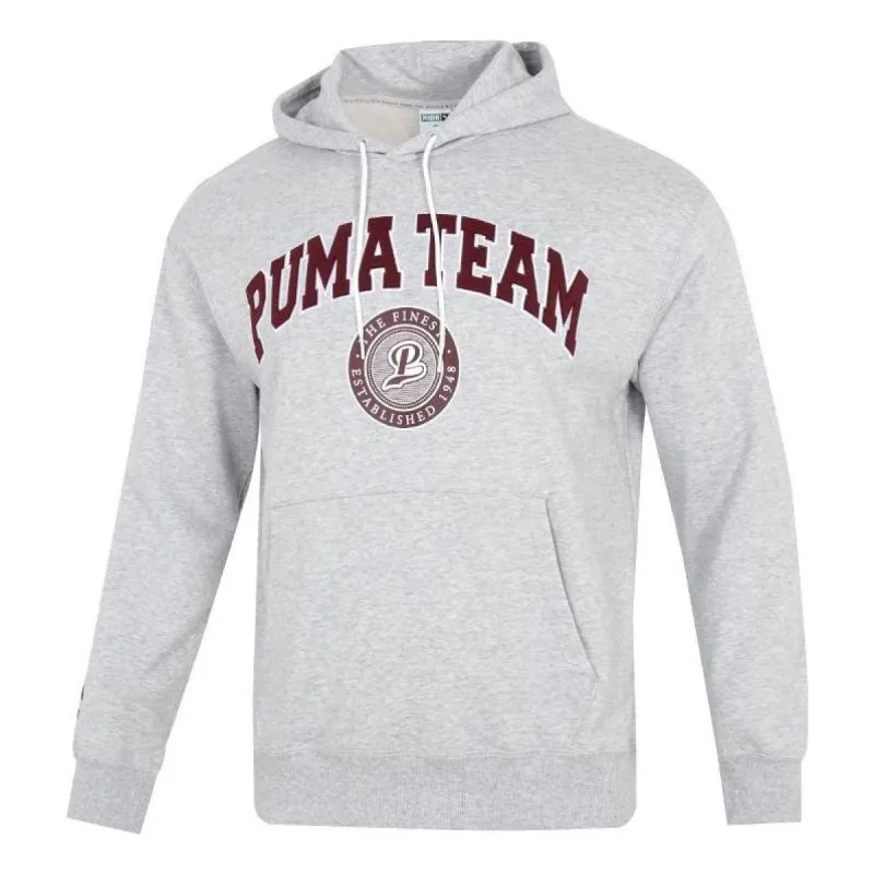 Puma Team Hoodie 'Grey' 539274-04 sold by KicksCrew
