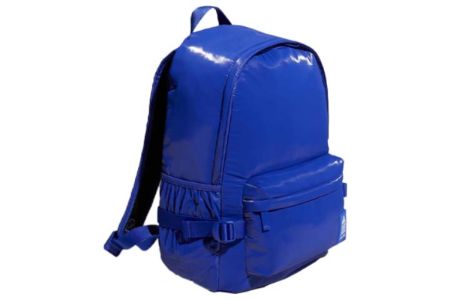 adidas Outdoor Fashion Casual Backpack 'Blue' H30372 sold by KicksCrew