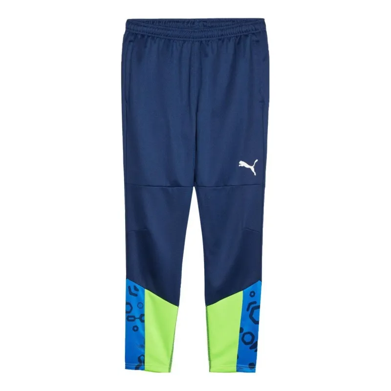 Puma individualCUP Football Training Pants 'Blue Green' 658487-54 sold by KicksCrew