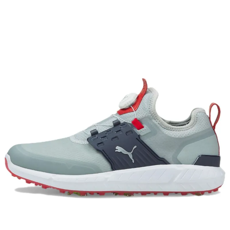 Puma Ignite Articulate Disc 'High Rise Silver' 376079-04 sold by KicksCrew