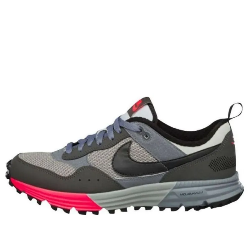 Nike Luna Pegasus 'Light Ash Grey' 653477-002 sold by KicksCrew