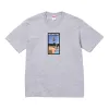 Supreme x Toy Machine Welcome To Hell 'T-Shirt 'Grey' SUP-SS24-071 sold by KicksCrew