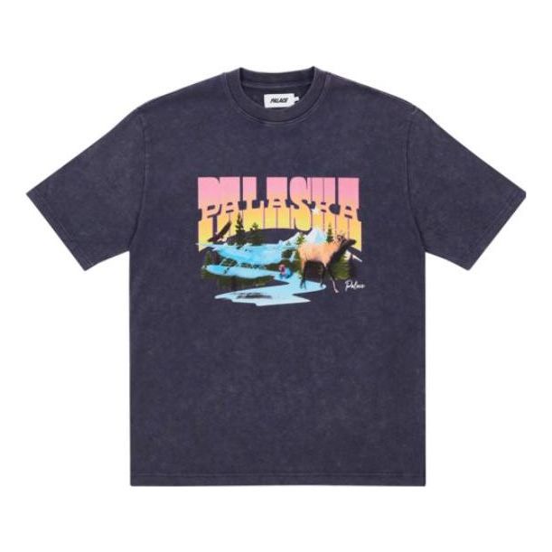 Palace SS22 Palaska Dye T-Shirt 'Purple' P22ES120 sold by KicksCrew