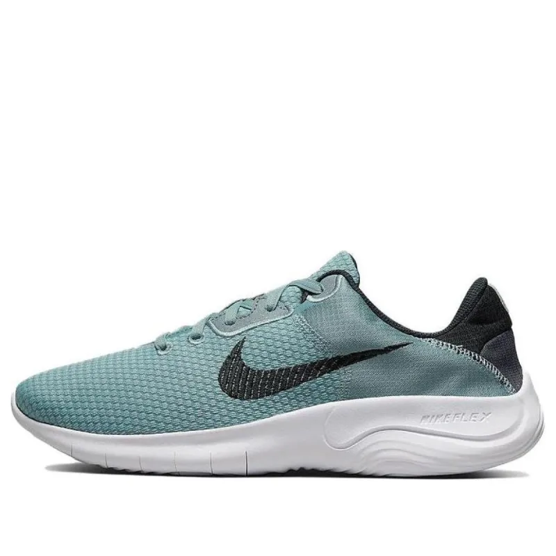 Nike Flex Experience Run 11 Next Nature 'Aviator Grey' DD9284-007 sold by KicksCrew