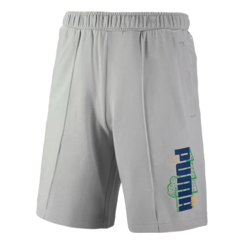 Puma Logo Nature Shorts 'Grey' 538777-09 sold by KicksCrew