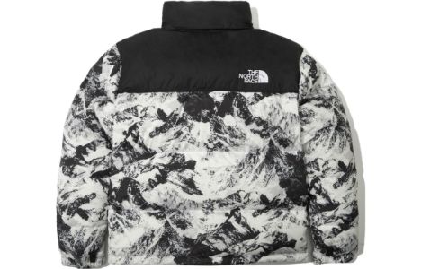 THE NORTH FACE 1996 Novelty Nuptse Jacket 'White' NJ1DN76A sold by KicksCrew