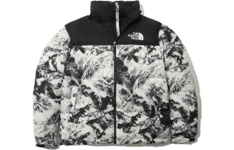 THE NORTH FACE 1996 Novelty Nuptse Jacket 'White' NJ1DN76A sold by KicksCrew