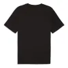 PUMA CLASSICS Small Logo T-Shirt 'Black' 679187-01 sold by KicksCrew