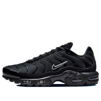 Nike Air Max Plus 'Unity' DZ4509-001 sold by KicksCrew