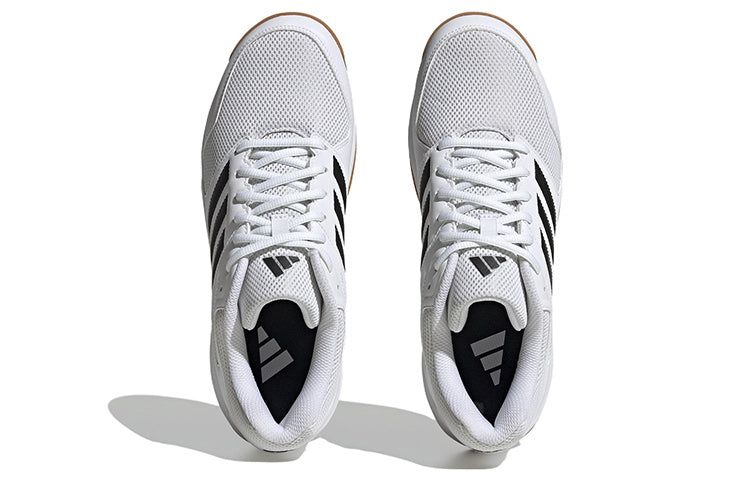 Adidas Speedcourt Volleyball Shoes 'White Gum Black' ID9498 sold by KicksCrew product image thumbnail 5