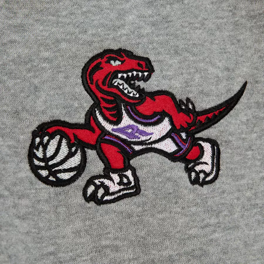 Mitchell & Ness x NBA Team Origins Fleece Pants 'Toronto Raptors' PSWP4850-TRAYYPPPGYHT sold by KicksCrew product image thumbnail 3