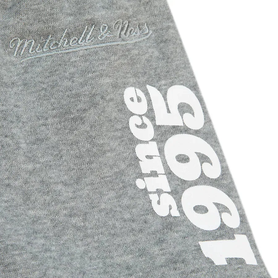 Mitchell & Ness x NBA Team Origins Fleece Pants 'Toronto Raptors' PSWP4850-TRAYYPPPGYHT sold by KicksCrew product image thumbnail 4