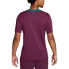 Nike Dri-FIT Paris Saint-Germain Strike Football Jersey 'Purple' FN9821-613 sold by KicksCrew