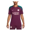 Nike Dri-FIT Paris Saint-Germain Strike Football Jersey 'Purple' FN9821-613 sold by KicksCrew
