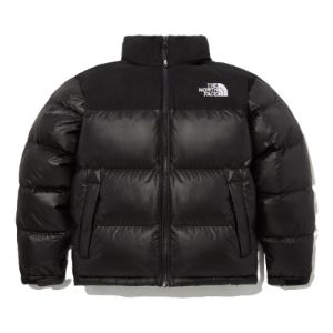 新品　THE NORTH FACE NJ1DP75D Lサイズ THE NORTH FACE ノースフェイス ダウンジャケット LEATHER