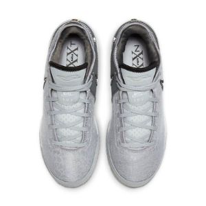 Nike Zoom LeBron Nxxt Gen EP 'Wolf Grey Metallic Gold' DR8788-004 sold by KicksCrew