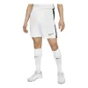 Nike Dri-Fit Academy 23 Shorts 'White' DV9743-100 sold by KicksCrew