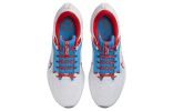 Nike Air Zoom Pegasus 40 'Tennessee State' DZ5978-100 sold by KicksCrew