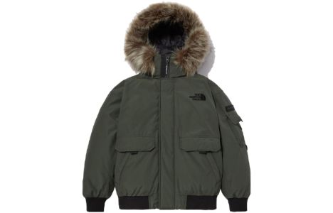 THE NORTH FACE Logo Polar Air Down Bomber Jacket 'Olivegreen' NJ1DN86B sold by KicksCrew