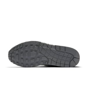 Nike Air Max 1 'Cool Grey Wolf Grey' 875844-005 sold by KicksCrew