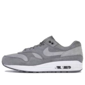 Nike Air Max 1 'Cool Grey Wolf Grey' 875844-005 sold by KicksCrew