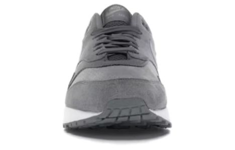 Nike Air Max 1 'Cool Grey Wolf Grey' 875844-005 sold by KicksCrew