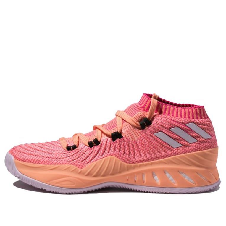 Adidas Shoe Adidas Crazy Explosive 2017 Pink Adidas Shoes Adidas