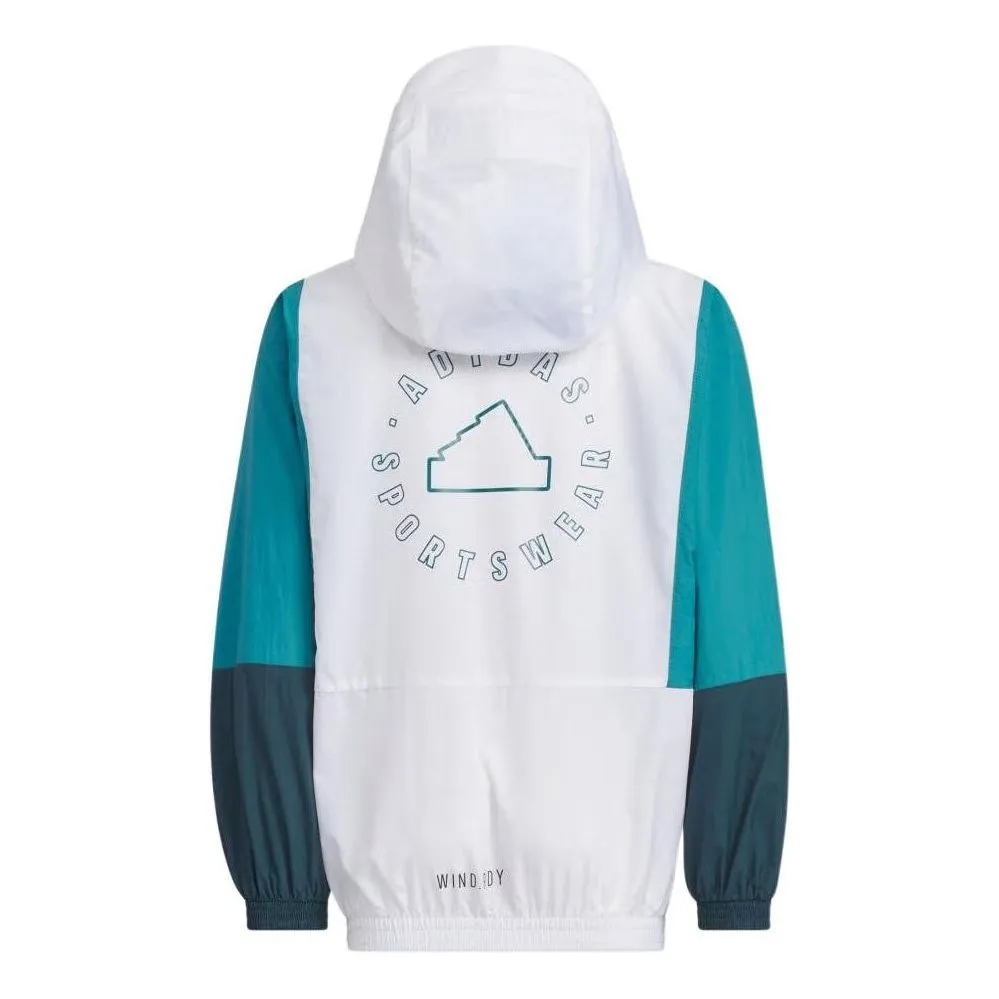 adidas IT4041 sold by KicksCrew product image thumbnail 2