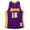 Mitchell & Ness NBA Swingman Los Angeles Lakers 09/10 Basketball Jersey 'Pau Gasol' JY8637-LALPURP sold by KicksCrew