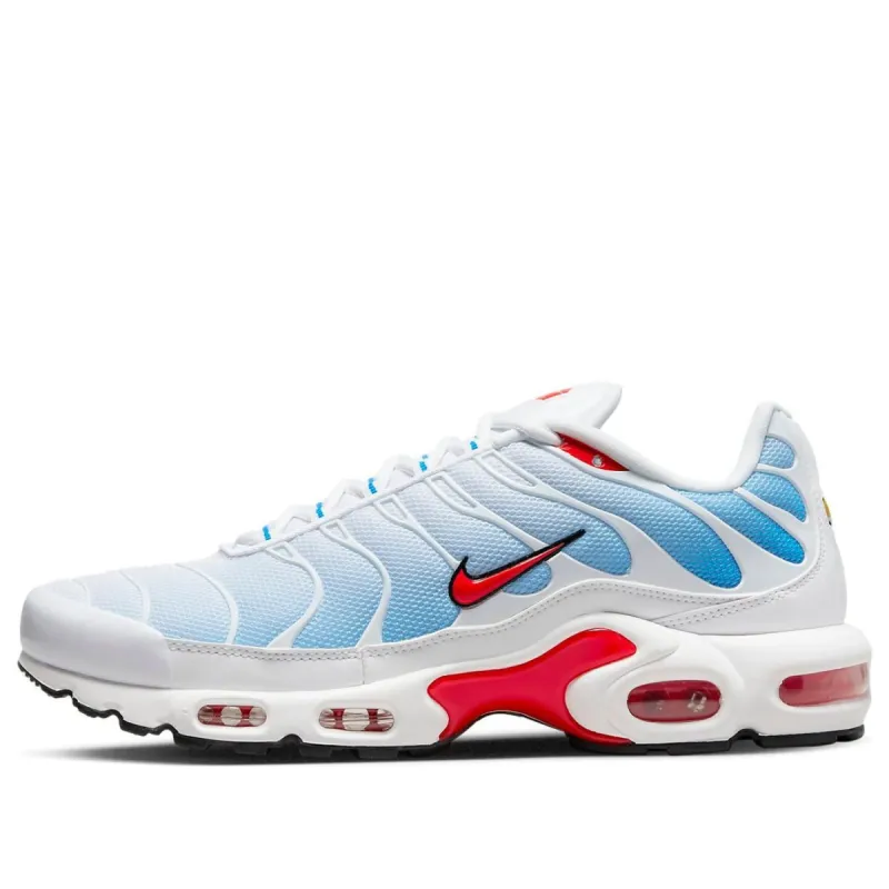Nike Air Max Plus 'Tide' 604133-423 sold by KicksCrew