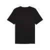 PUMA Sportswear Graphic T-Shirt 'Black' 628009-01 sold by KicksCrew