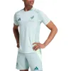 adidas Mexico 2024 Away Authentic Soccer Jersey 'Linen Green' IP6385 sold by KicksCrew