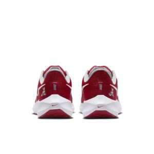 Nike Air Zoom Pegasus 39 'Alabama' DR1960-600 sold by KicksCrew