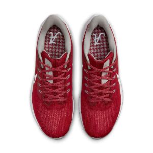 Nike Air Zoom Pegasus 39 'Alabama' DR1960-600 sold by KicksCrew