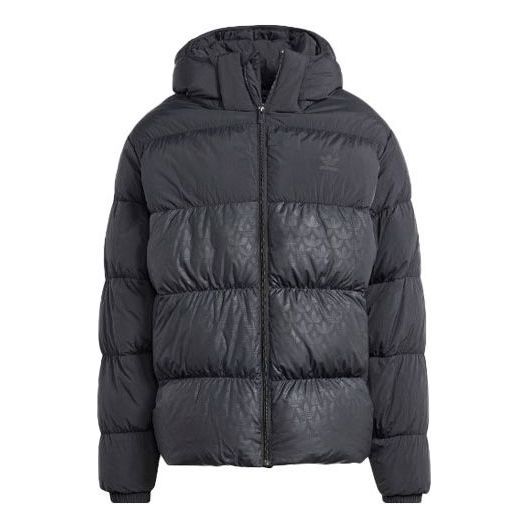 adidas originals Down Regen Monogram Hooded Puffer Jacket