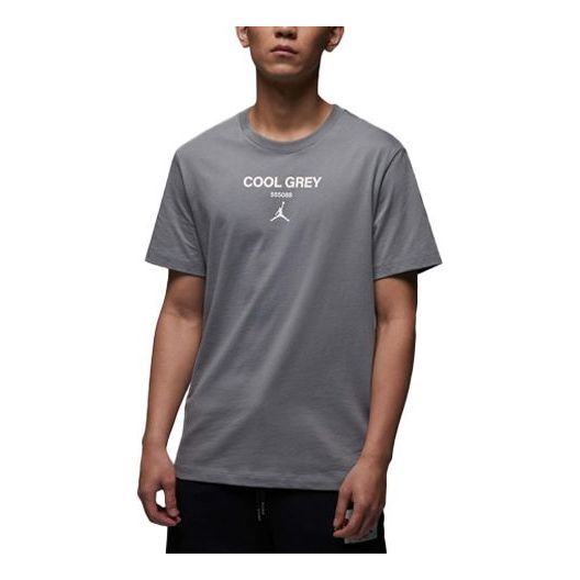 Air Jordan T-Shirt 'Cool Grey' FN3716-065 sold by KicksCrew