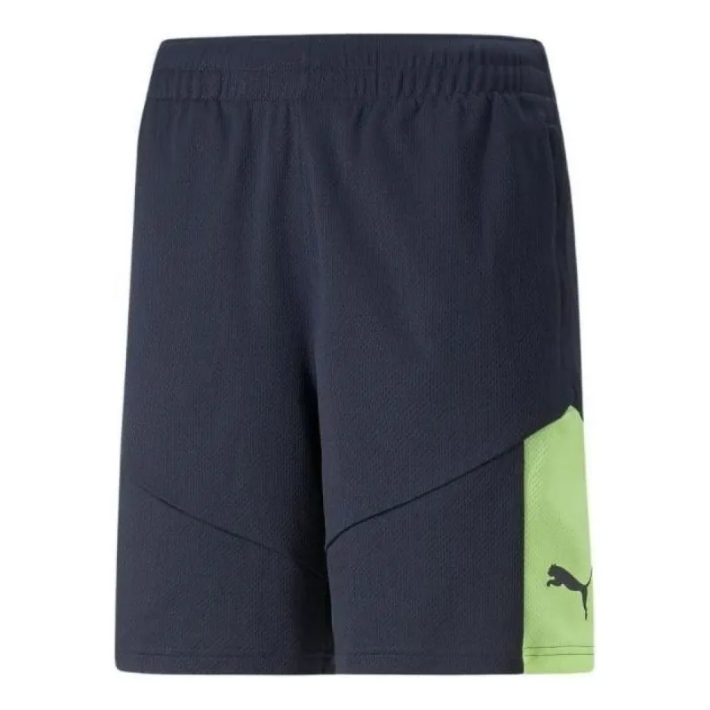 PUMA Football Shorts Individual Final 'Navy Blue' 658042-47 sold by KicksCrew