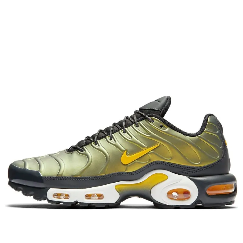 Nike Air Max Plus 'Liquid Metal Anthracite' AJ2013-005 sold by KicksCrew