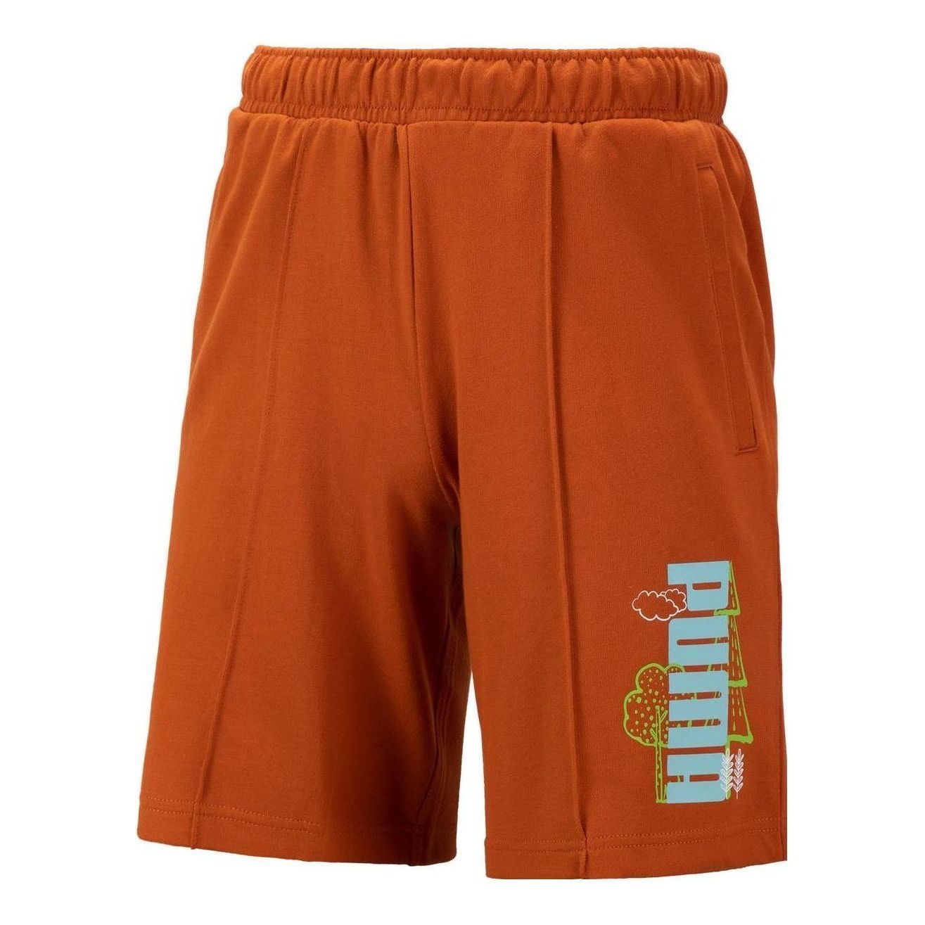 Puma Logo Nature Shorts 'Brown' 538777-64 sold by KicksCrew