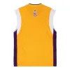 Mitchell & Ness x NBA Los Angeles Lakers 2001-02 Shooting Jerseys 'Yellow' ASSH1060-LAL01PPPGOLD sold by KicksCrew