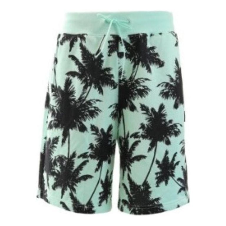Puma Palm Tree Short 'Teal' 578258-34 sold by KicksCrew